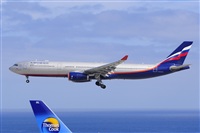 Miguel A. gueda Rguez.  (CANARY ISLANDS SPOTTING). Click to see full size photo
