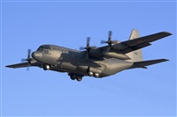 Adolfo Bento - Gran Canaria Spotters. Click to see full size photo