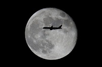 Click here to see full size photo