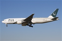 Miguel Alia - Noisy Spotters. Click to see full size photo