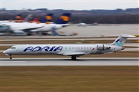 Rodrigo Carvalho - Noisy Spotters. Click to see full size photo