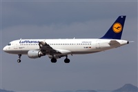 Florencio Martn Melin - Lanzarote Spotters. Haz click para ampliar