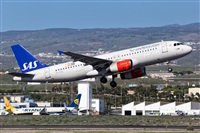 Javier de la Cruz - CANARY ISLANDS SPOTTING. Click to see full size photo