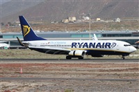 ©Alfonso Solís - Asociación Canary Islands Spotting. Click to see full size photo ©Alfonso Solís - Asociación Canary Islands Spotting. Click to see full size photo
