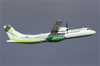 Paco Muoz Arencibia - Gran Canaria Spotters. Click to see full size photo