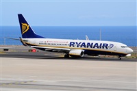 Miguel A. gueda Rguez.  (CANARY ISLANDS SPOTTING). Click to see full size photo