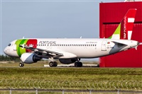 Javier de la Cruz - CANARY ISLANDS SPOTTING. Click to see full size photo