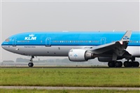 Miguel Alia - Noisy Spotters. Click to see full size photo