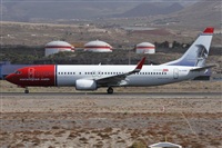 ©Alfonso Solís - Asociación Canary Islands Spotting. Click to see full size photo ©Alfonso Solís - Asociación Canary Islands Spotting. Click to see full size photo