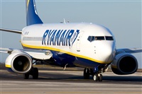 Saimon J Rodriguez   -   Canary Islands Spotting. Click to see full size photo