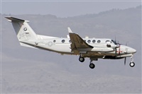 Paco Muoz Arencibia - Gran Canaria Spotters. Click to see full size photo