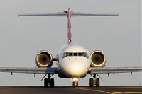 Saimon J Rodriguez   -   Canary Islands Spotting. Click to see full size photo