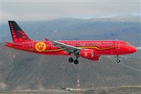 Miguel A. gueda Rguez.  (CANARY ISLANDS SPOTTING). Click to see full size photo