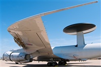 Miguel Martin Cordeiro - Iberian Spotters. Click to see full size photo