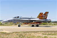Fco Javier Garca Ruiz. Click to see full size photo