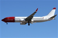 ©Alfonso Solís - Asociación Canary Islands Spotting. Click to see full size photo ©Alfonso Solís - Asociación Canary Islands Spotting. Click to see full size photo