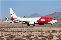 Javier de la Cruz - CANARY ISLANDS SPOTTING. Click to see full size photo