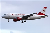 Adrin Alonso Lemes - Lanzarote Spotters. Click to see full size photo