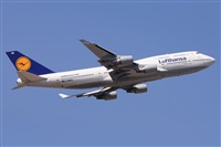 Miguel A. gueda Rguez.  (CANARY ISLANDS SPOTTING). Click to see full size photo