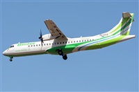 ©Adolfo Bento - Gran Canaria Spotters. Click to see full size photo ©Adolfo Bento - Gran Canaria Spotters. Click to see full size photo