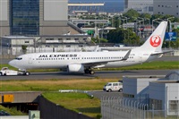 Miguel A. gueda Rguez.  (CANARY ISLANDS SPOTTING). Click to see full size photo
