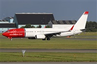 ©Alfonso Solís - Asociación Canary Islands Spotting. Click to see full size photo ©Alfonso Solís - Asociación Canary Islands Spotting. Click to see full size photo