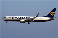 Alfonso Sols - Asociacin Canary Islands Spotting. Haz click para ampliar