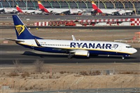 Alfonso Sols - Asociacin Canary Islands Spotting. Click to see full size photo