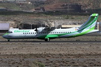 ©Alfonso Solís - Asociación Canary Islands Spotting. Click to see full size photo ©Alfonso Solís - Asociación Canary Islands Spotting. Click to see full size photo