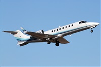 Alfonso Sols - Asociacin Canary Islands Spotting. Click to see full size photo