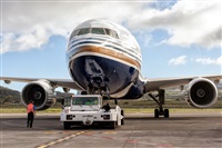 Javier de la Cruz - CANARY ISLANDS SPOTTING. Click to see full size photo