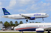 Miguel A. gueda Rguez.  (CANARY ISLANDS SPOTTING). Click to see full size photo