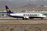©Alfonso Solís - Asociación Canary Islands Spotting. Click to see full size photo ©Alfonso Solís - Asociación Canary Islands Spotting. Click to see full size photo