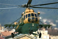 Tams. Click to see full size photo