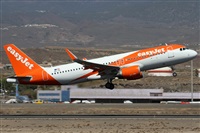Alfonso Sols - Asociacin Canary Islands Spotting. Click to see full size photo