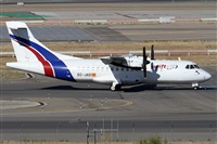 ©Alfonso Solís - Asociación Canary Islands Spotting. Click to see full size photo ©Alfonso Solís - Asociación Canary Islands Spotting. Click to see full size photo