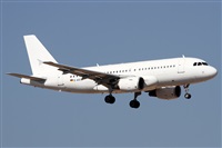 Alfonso Sols - Asociacin Canary Islands Spotting. Haz click para ampliar
