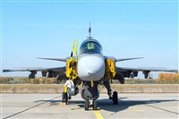 Tams. Click to see full size photo