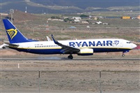Miguel A. gueda Rguez.  (CANARY ISLANDS SPOTTING). Click to see full size photo