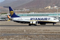 Alfonso Sols - Asociacin Canary Islands Spotting. Haz click para ampliar