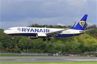 Miguel A. gueda Rguez.  (CANARY ISLANDS SPOTTING). Click to see full size photo