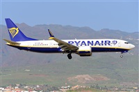 Miguel A. gueda Rguez.  (CANARY ISLANDS SPOTTING). Click to see full size photo