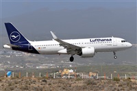 Miguel A. gueda Rguez.  (CANARY ISLANDS SPOTTING). Haz click para ampliar