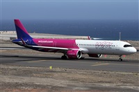 ©Alfonso Solís - Asociación Canary Islands Spotting. Click to see full size photo ©Alfonso Solís - Asociación Canary Islands Spotting. Click to see full size photo