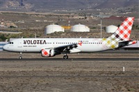 ©Alfonso Solís - Asociación Canary Islands Spotting. Click to see full size photo ©Alfonso Solís - Asociación Canary Islands Spotting. Click to see full size photo