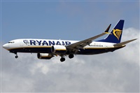 Alfonso Sols - Asociacin Canary Islands Spotting. Click to see full size photo
