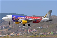 Miguel A. gueda Rguez.  (CANARY ISLANDS SPOTTING). Click to see full size photo