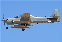Alejandro H.L - Gran Canaria Spotters. Click to see full size photo