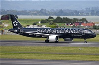 �Miguel A. �gueda Rguez.  (CANARY ISLANDS SPOTTING). Haz click para ampliar