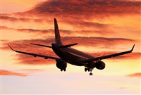 �Javier Gonz�lez. Click to see full size photo